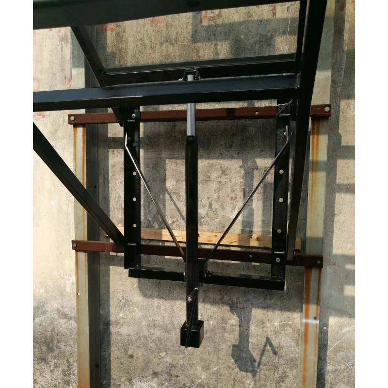 Volwassenen Wandmontage Buiten - Basketball Hoop recensie en prijs
