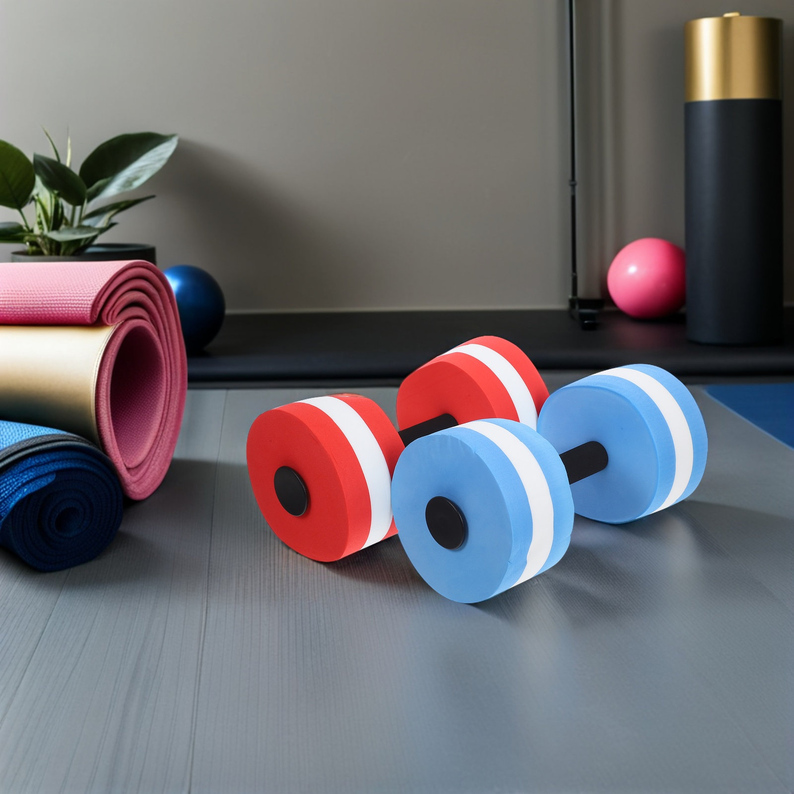 2 stuks aquatische halters Eva - Dumbbell Set recensie en prijs